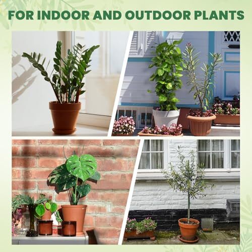6 Pack Plant Support Stakes, Detachable Twig Plant Support Stakes Set with 1 - Picture 8 of 8