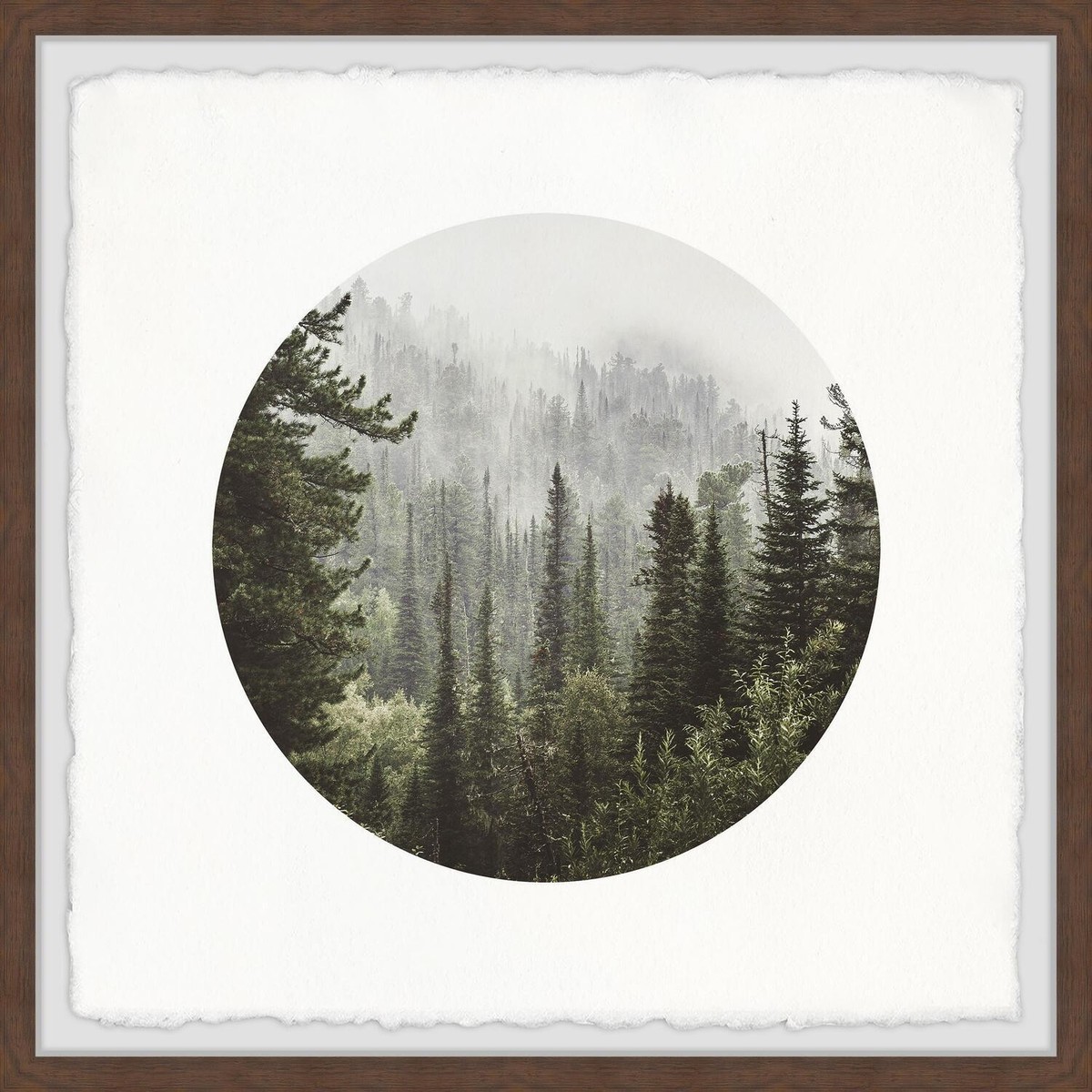 Marmont Hill Forest of Pines Framed Painting Print 24
