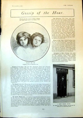 Old Felicity Iris Tree Mr Dearle Epsom Tradesman M Tchigorin Chess 19 20th