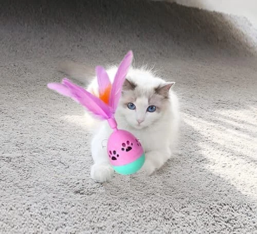 Tumbler Cat Polly Toy Treat with Feather Interactive Rolly Toy Despensing