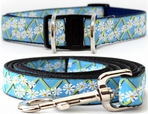 daisy puppy collar