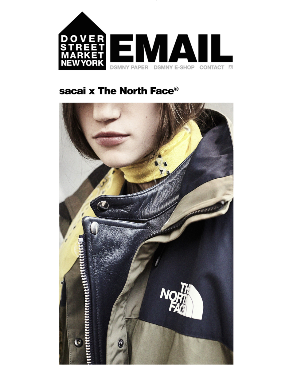 RARE Sacai x The North Face Bomber Parka Brand New DSM RARE Sacai x The North Face Bomber Parka Brand New DSM