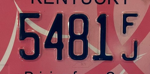 Find Cure BREAST CANCER license plate Komen Survivor Pink Ribbon Awareness fight - Picture 3 of 8