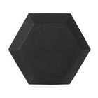 IRON HEXAGON DUMBELLS Protective Coating Single 3-120 Lbs