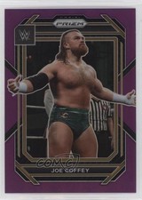 2023 Panini Prizm WWE Purple Prizm 114/149 Joe Coffey #110 zb3