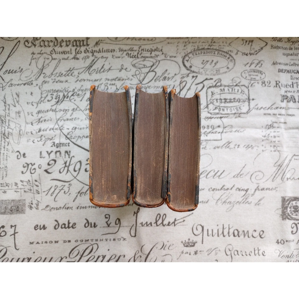 Liebig's Organic Chemistry Traite De Chimie Organique French 3 Vol Set 1840 Rare - Image 3 of 4