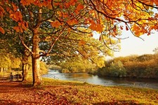 Autumn Fall Day Canvas Picture River Bank Trees Leaves Wall Art Prints