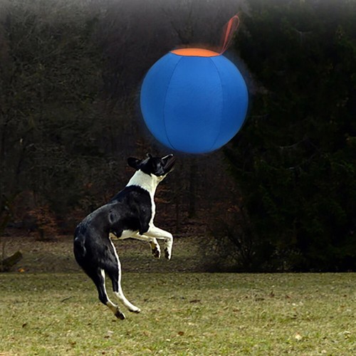 Dogs Herding Ball Horse Ball Large Ball With Air Pump For Play Hurding Ball UK - Picture 9 of 10