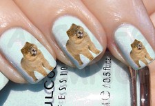 60x Water decals CANE CHOW CHOW UNGHIE NAIL ADESIVI PUPPY DOG STICKERS TRANSFER