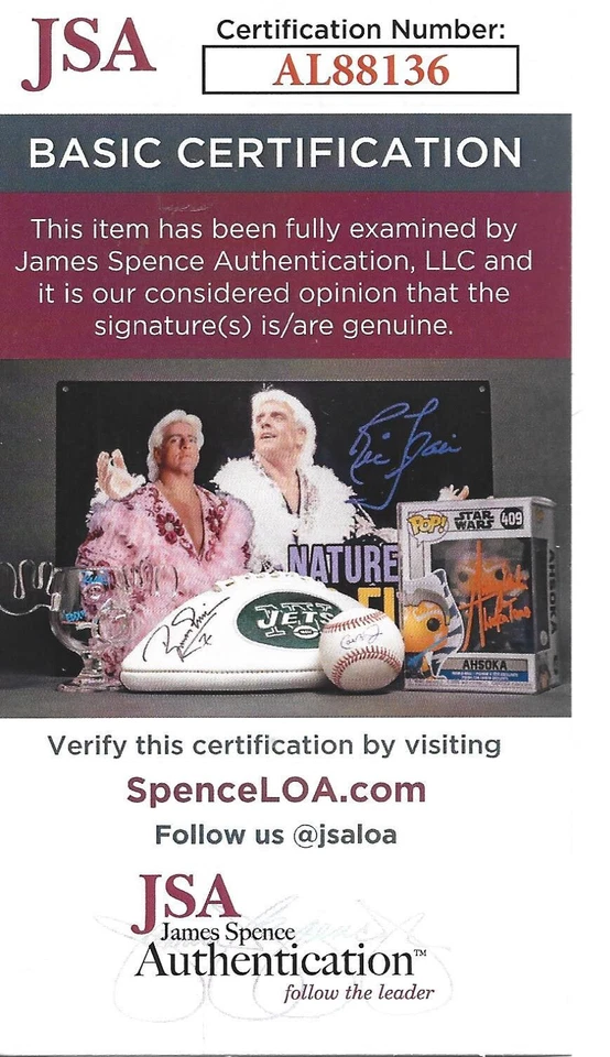 *STEVE NASH CUSTOM FRAME 11X20 PICTURE/AUTO FLOORBOARD JSA CERTIFIED AL88136* - Image 4 of 4