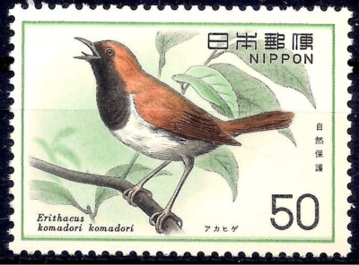Japan 1976 Birds Ryukyu Robin Nature 1v MNH | eBay