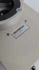 Foto 8 di 9