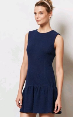 Anthropologie Jacquard Textured Shift Dress Drop Waist Small Petite MSRP  $158 | eBay