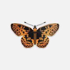Beautiful Orange Butterfly Vinyl Sticker Decal