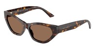 Jimmy Choo Sonnenbrille JC5022B 500273 Schildpatt Braun Damen
