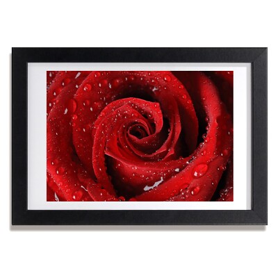 Tulup Bild MDF gerahmte Wand Dekor 30x20cm Tropfen auf einer Rose