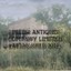 Miller Antiques Company Limited