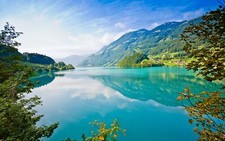 Landscape photography nature water lake plants trees Custom Gaming Mat Desk