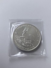 African Springbok 2015 Gabun