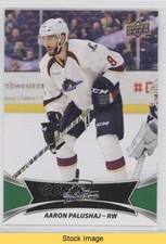 2016-17 Upper Deck AHL Green Aaron Palushaj #70 READ 1g4p