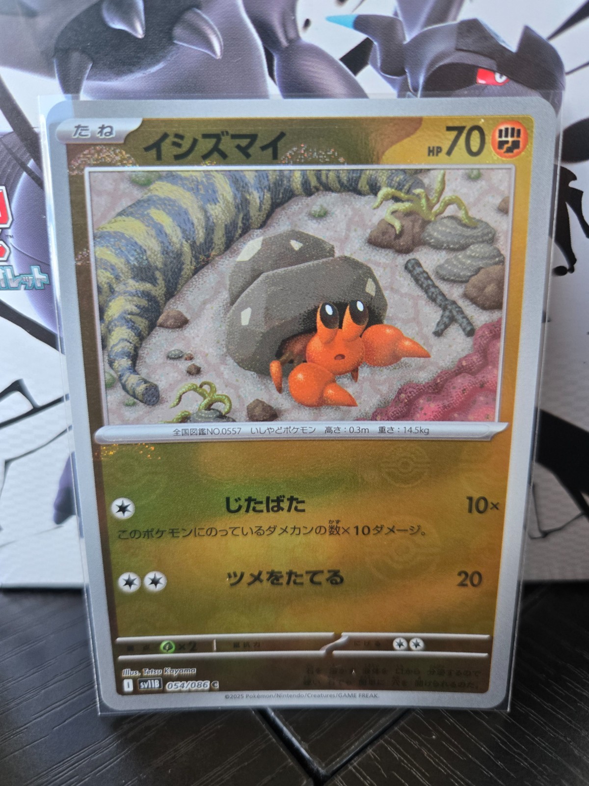 POKEMON BLACK BOLT WHITE FLARE JAPANESE POKEBALL PATTERN - CHOOSE YOUR CARD! NM
