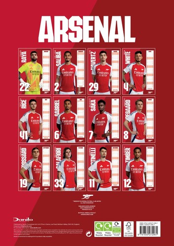 Arsenal FC Christmas Birthday Gift Ideas Official Merchandise Secret Santa Fan - Picture 162 of 176