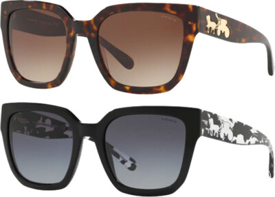 Coach hc8249 Clearance