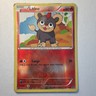Pokémon Litleo 22/114 XY Steam Siege Reverse Holo Basic Common 60 HP 30 Attack