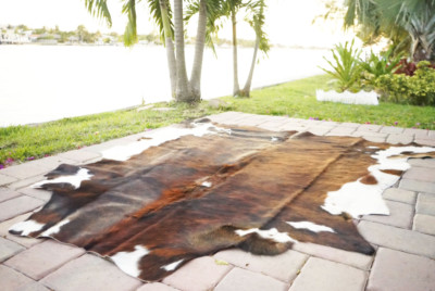 Brindle Rodeo Cowhide Rug Hair on authentic leather rug size approx 6x7 ft 