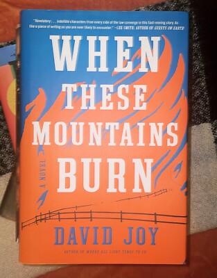 When These Mountains Burn by David Joy | Brand New (2020, Hardcover)