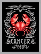 Cancer The Crab Imaginative Loving Emotional  Zodiac Sign Celestial-MAGNET