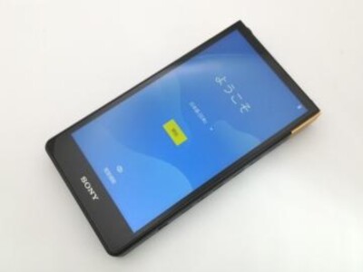 SONY NW-ZX707 WALKMAN ZX Series Black Audio Player Confirmed Good