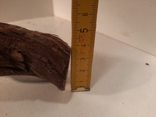 Wurzelstock 40 x 13 x 4 cm Holz Stamm für Terrarium, Deko, basteln, Lampe - Bild 6 von 10