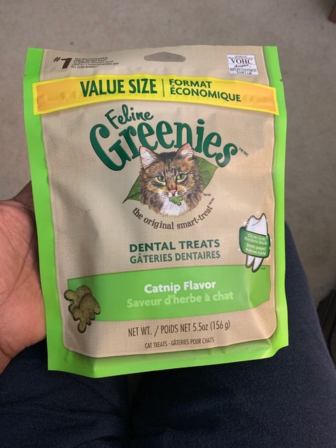 greenies catnip dental treats
