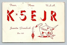 1961 Ham Radio QSL Card KN5EJR Freer Texas Longhorn Bull TX Woman Operator