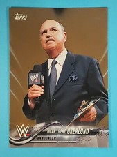 2018 Topps WWE BRONZE 