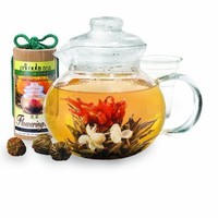 Primula 40-ounce Glass Teapot With Infuser And Lid With 12 Flowering Teas In A C on sale Primula 40-ounce Glass Teapot With Infuser And Lid With 12 Flowering Teas In A C on sale