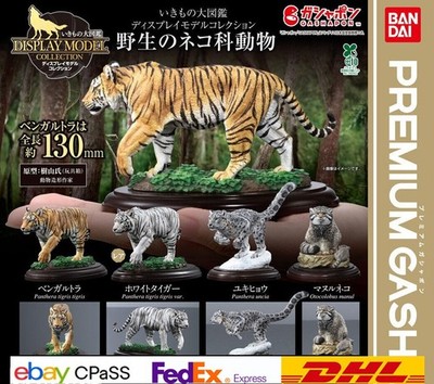 Ikimono Daizukan Display Model Collection Wild Cats Comp Set of 4Capsule toy NEW