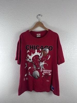 Chicago Bulls Nutmeg L Shirt Big Graphic Double Sided Jordan Era