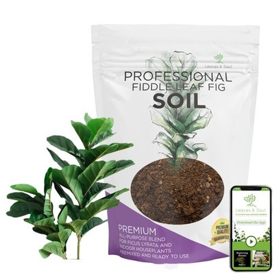 Fiddle Leaf Fig & Houseplant Soil   8.2 Qt Premium All-Purpose Blend, USA Made