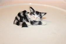 Vintage Realistic Sleeping Kitten 3.55" Small Cat Kitten Figurine Black & White