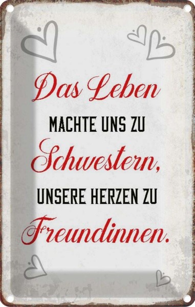 Blechschild 30X20 Cm Leben Machte Uns Zu Schwestern Dekoration Spruch Zitat Deko-image