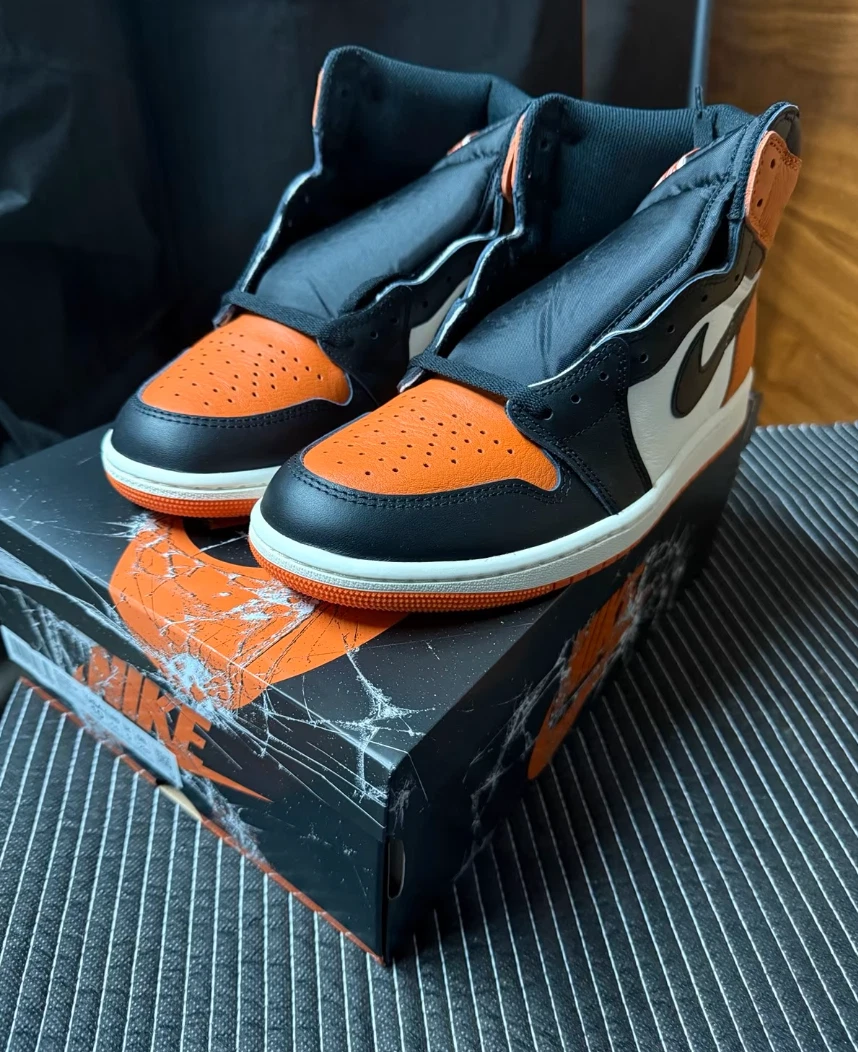 Air Jordan 1 Retro High Og Mit Echtheitsprüfung ab 100€ | eBay.de