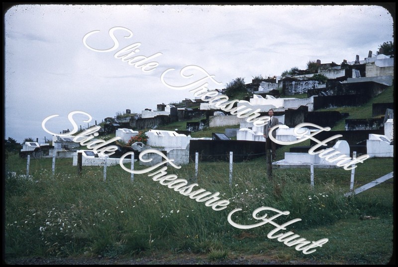 New Zealand Cemetery Thames Valley 35mm Slide 1950s Red Border Kodachrome