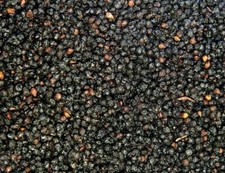 Elderberry Whole Wild Crafted Dried Premium / 1 oz to 2 lb / Sambucus Nigra