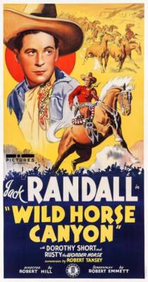 Wild Horse Canyon poster Addison Randall 1938 Old Movie Photo