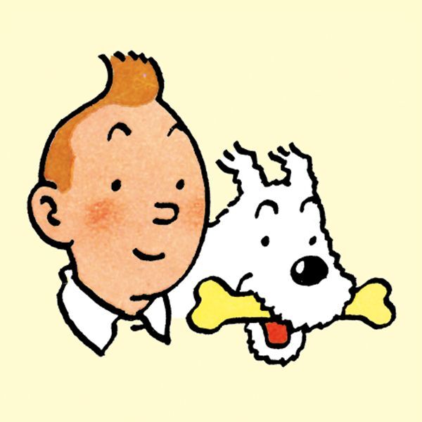 Thumbnail - Tim Und Struppi 13. Der Sonnentempel Herge