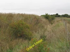 Photo 12x8 Ditch between flood defence and arable land Osea Island What lo c2013