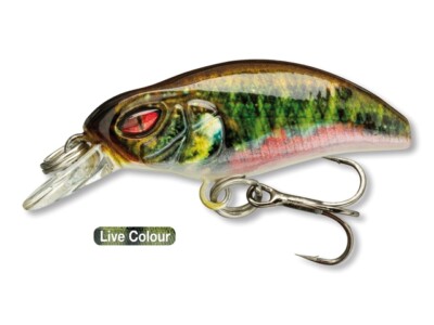 Daiwa Prorex Micro Minnow 30 F-SR Live Minnow - UL Forelle Barsch Wobbler