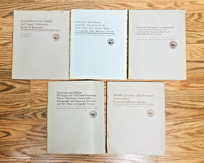 Lot United States Geological Survey Professional Paper USGS Geology Paleontology